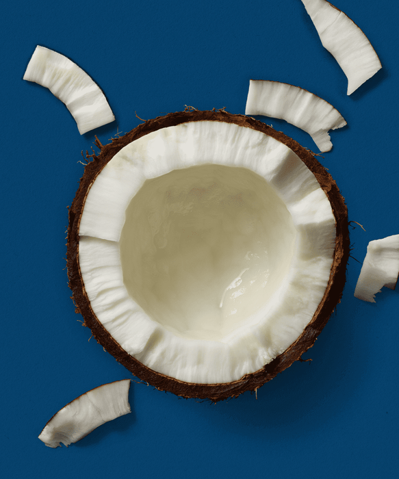 Plenish - Organic Coconut Milk 8 x 1L