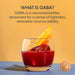 Gaba Drinks - Sentia Red Non Alcoholic Spirit 0% ABV 12 x 20cl