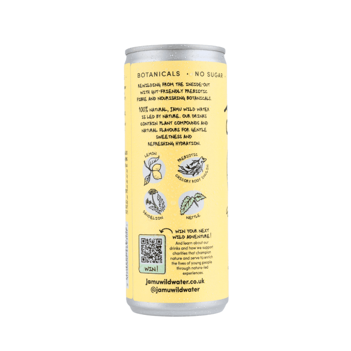 Jamu Wild Water Wholesale - Natural Sparkling Lemon Water 12 x 250ml Back
