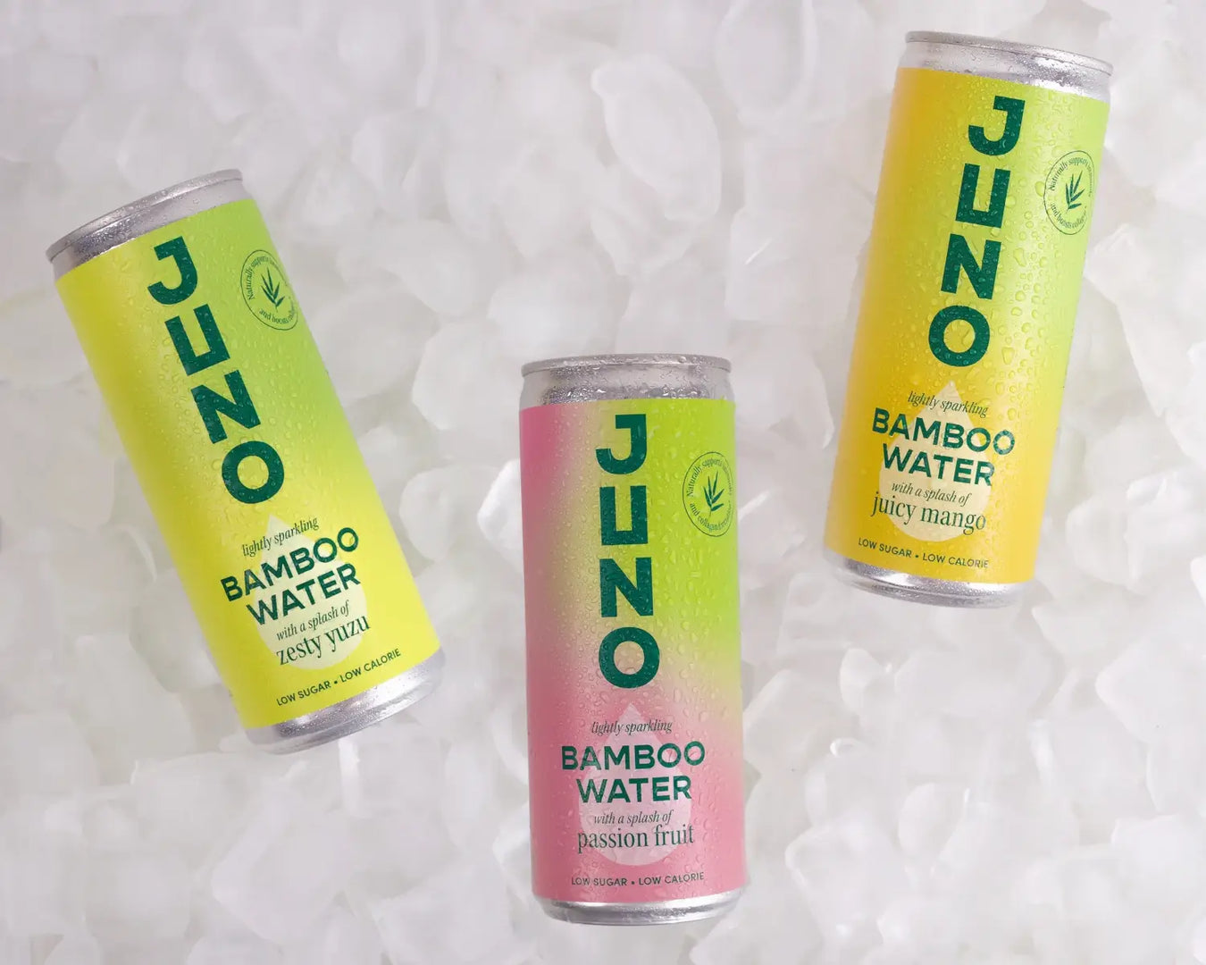 Juno Bamboo Water Variety Pack