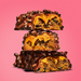 Misfits Plant-Based Cookie Butter Protein Bar 15 x 50g