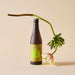 Wholesale Sakebana - Saké Spritz 3.5% ABV Yuzu 12 x 330ml Lifestyle shot